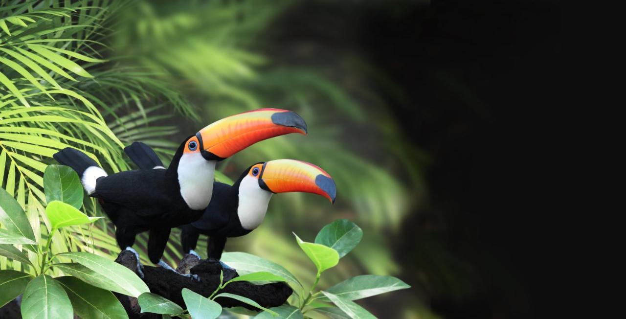 Atiaia Jungle River Retreat Visconde De Maua Εξωτερικό φωτογραφία